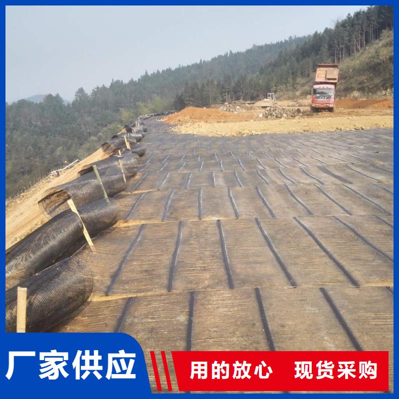 鋼塑土工格柵短絲土工布行業優選
