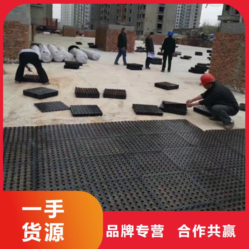 塑料排水板滌綸土工格柵來圖來樣定制