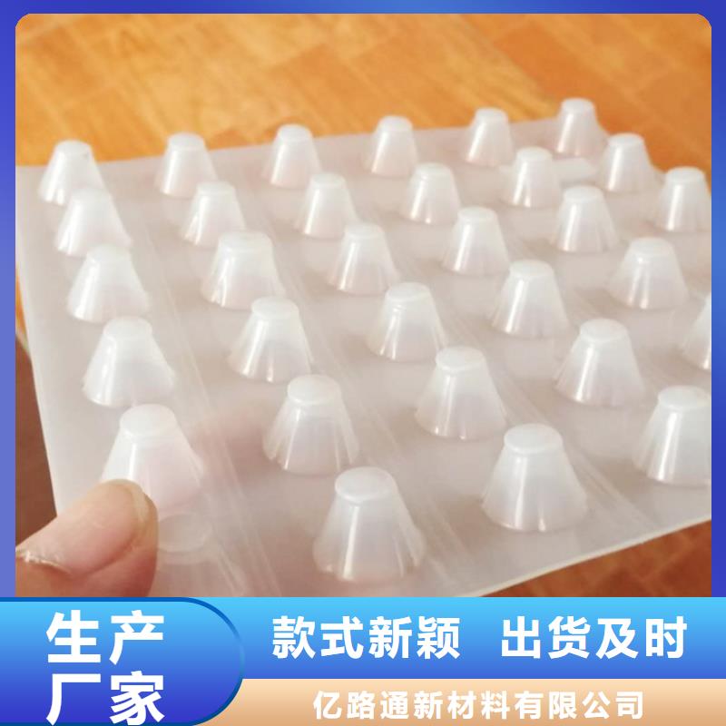 塑料排水板HDPE土工膜廠家直銷規格多樣