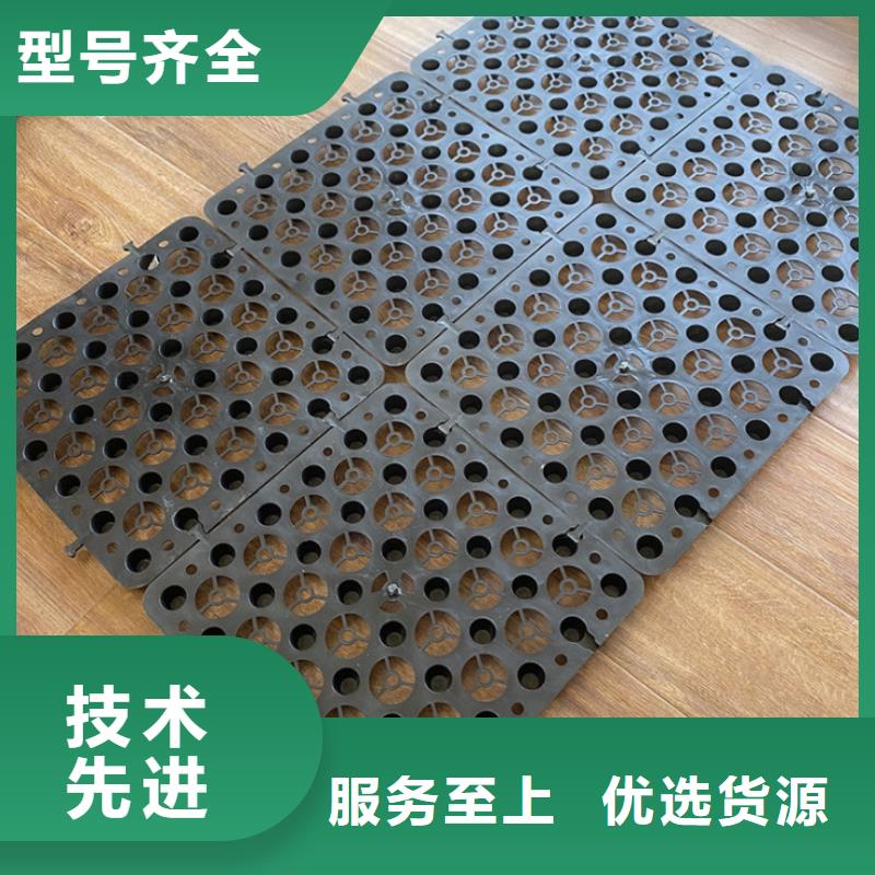 塑料排水板聚丙烯双拉土工格栅用的放心