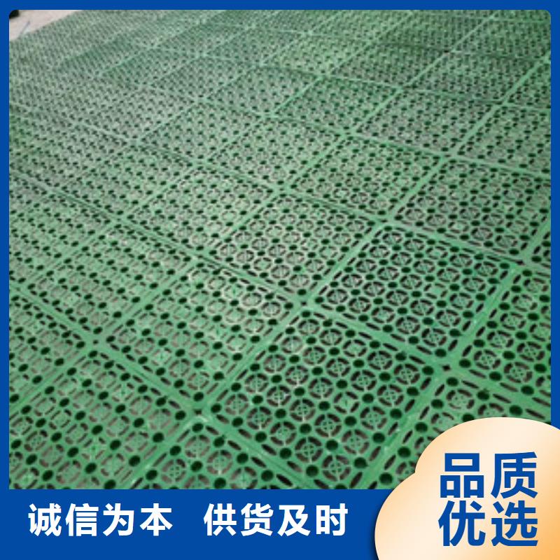 塑料排水板钢塑土工格栅厂家厂家品控严格