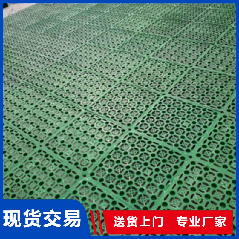 塑料排水板玻璃纖維土工格柵一對一為您服務