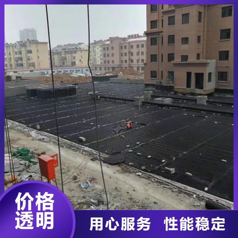 塑料排水板凸結點鋼塑土工格柵拒絕差價