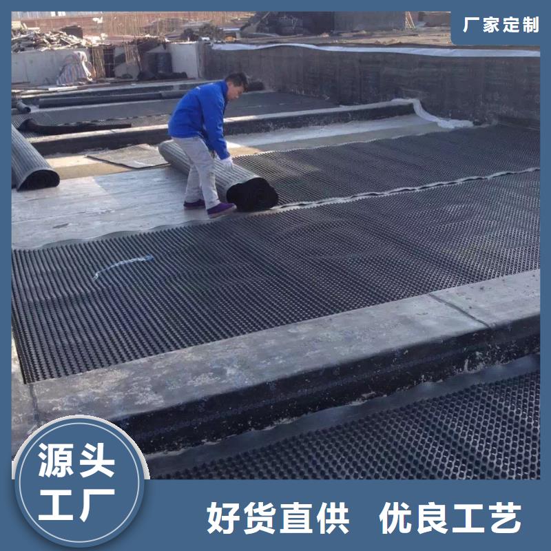 塑料排水板三维水土保护毯一站式采购商