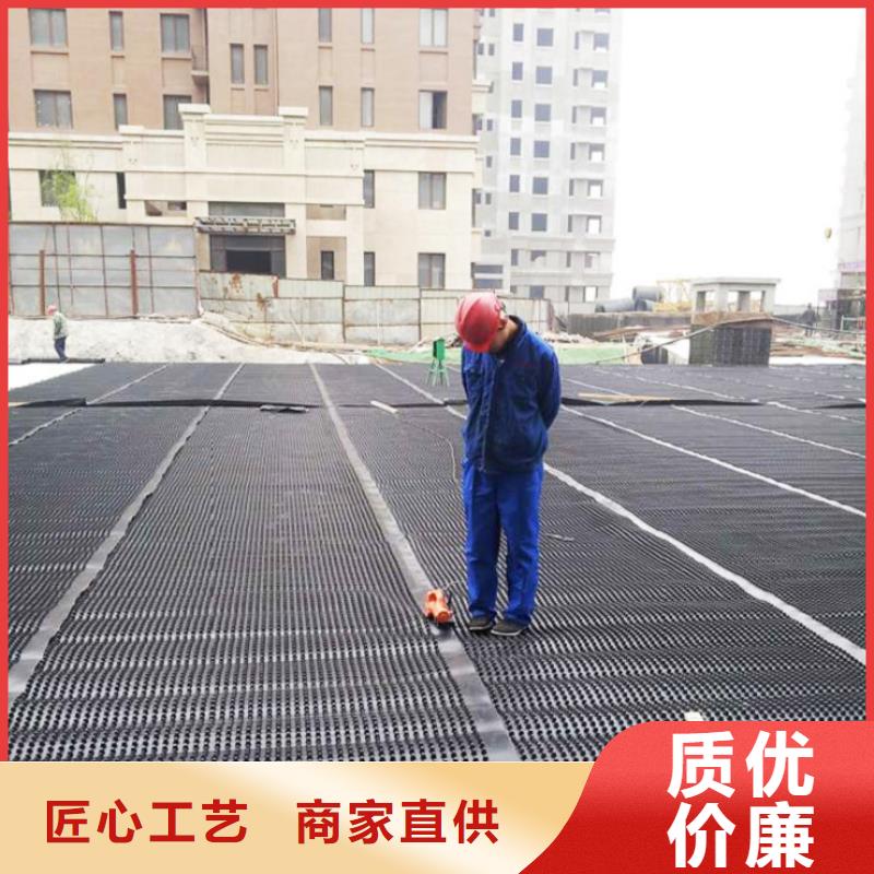 塑料排水板單向塑料土工格柵拒絕偽劣產品