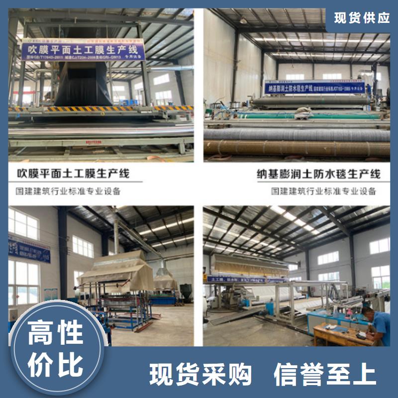防水毯三維土工網墊廠家現貨供應