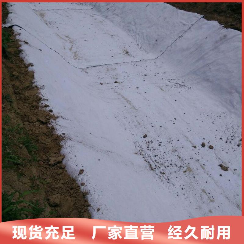 防水毯【硬式透水管】您身邊的廠家