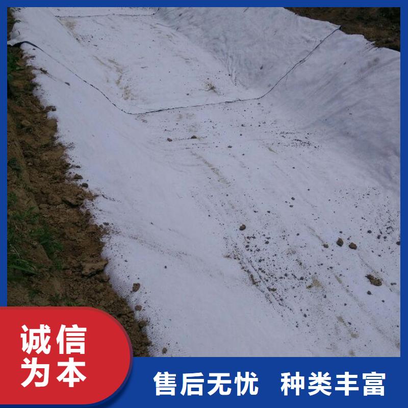防水毯三維土工網墊廠家現貨供應