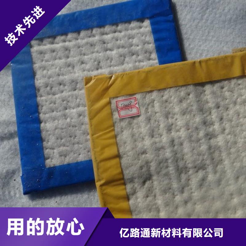 【防水毯多向塑料土工格柵本地配送】