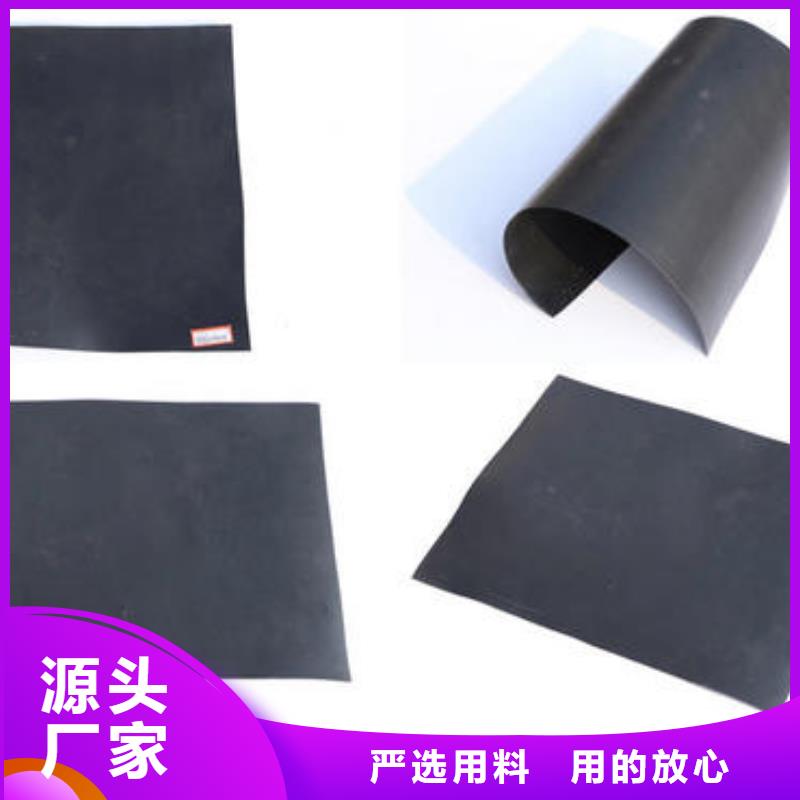 土工膜【单向塑料土工格栅】供您所需
