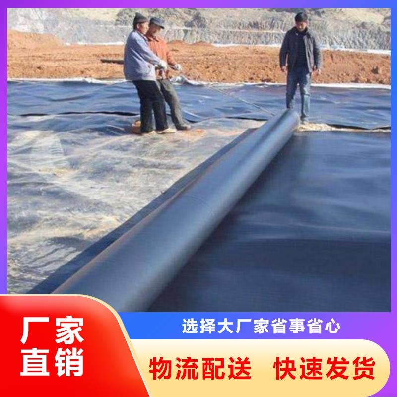 土工膜玻纖土工格柵隨到隨提