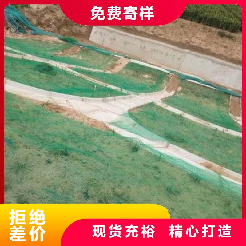三維植被網復合土工膜48小時發貨