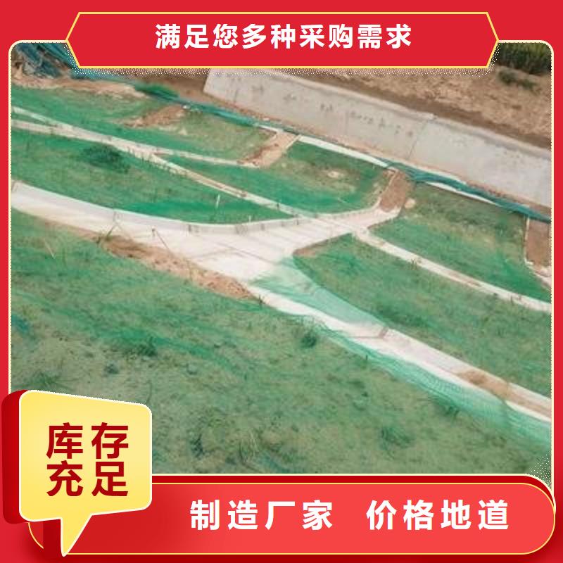 【三维植被网 钢塑土工格栅厂家多种规格可选】