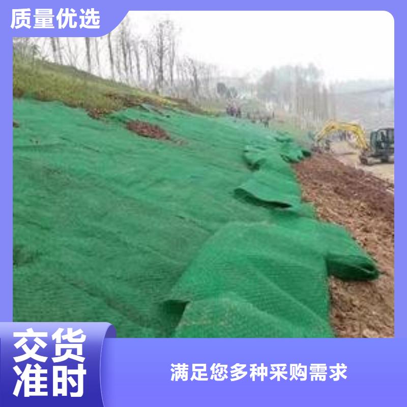 三维植被网单向塑料土工格栅现货齐全售后无忧