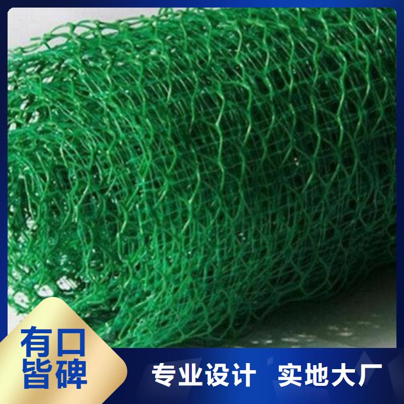 三維植被網聚丙烯雙拉土工格柵源頭廠家來圖定制
