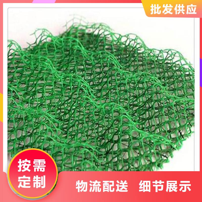 【三維植被網-土工布經久耐用】