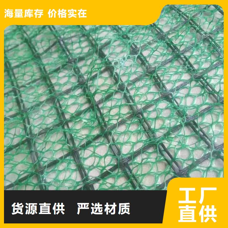 三维植被网凸结点钢塑土工格栅让客户买的放心