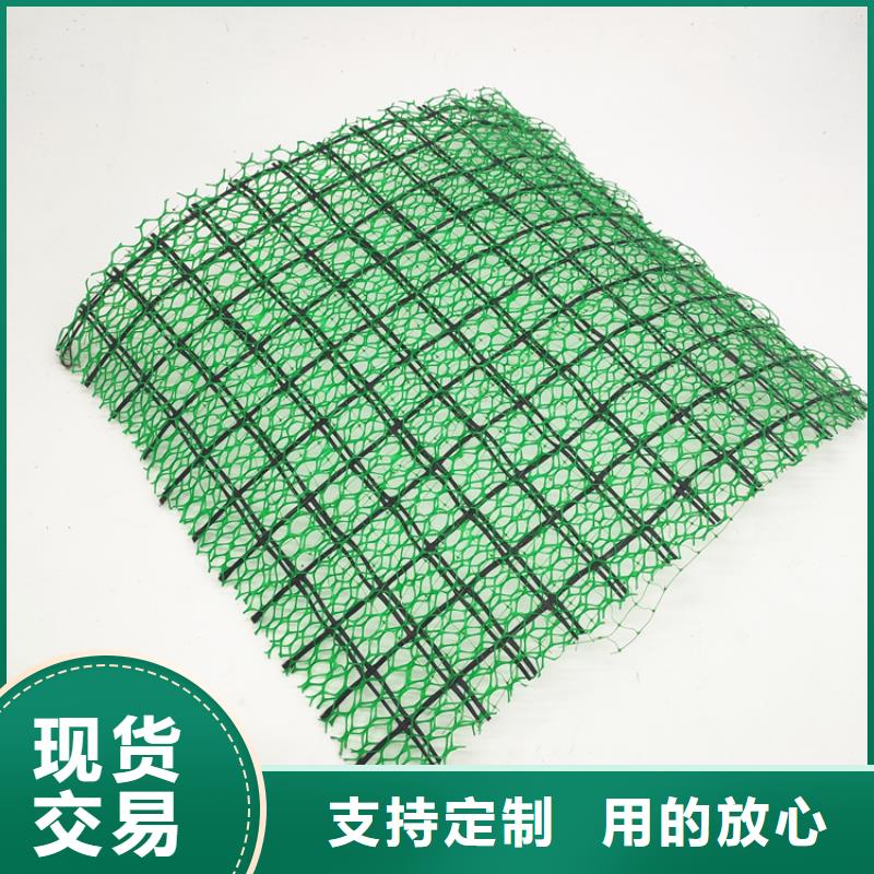 三維植被網復合土工膜48小時發貨