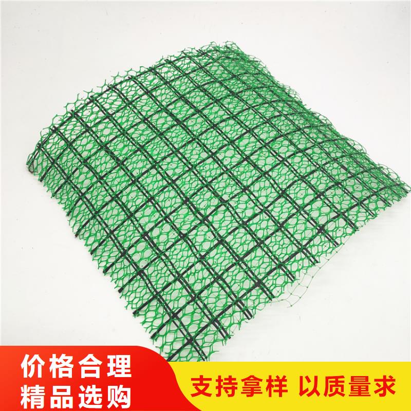三維植被網三維水土保護毯支持貨到付清
