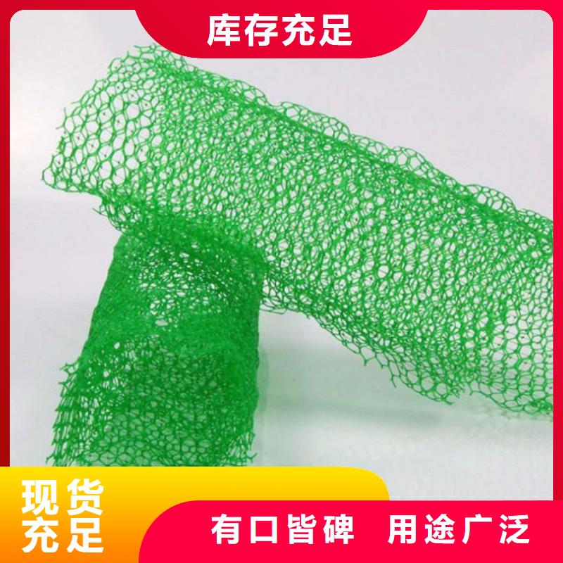 三維植被網玻纖土工格柵大庫存無缺貨危機