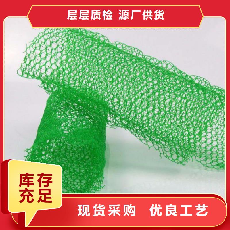 三維植被網聚丙烯雙拉土工格柵源頭廠家來圖定制