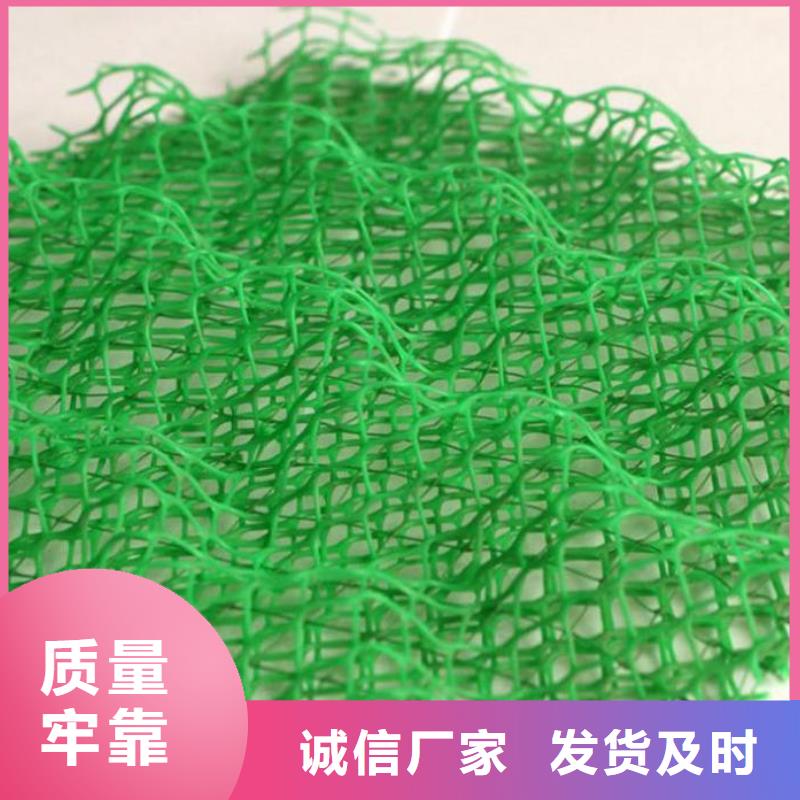 三维植被网多向塑料土工格栅用心制作