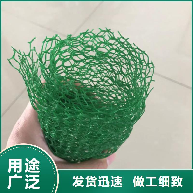 三维植被网双向塑料土工格栅可定制有保障