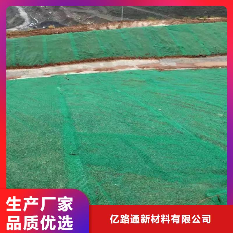 三维植被网多向塑料土工格栅用心制作