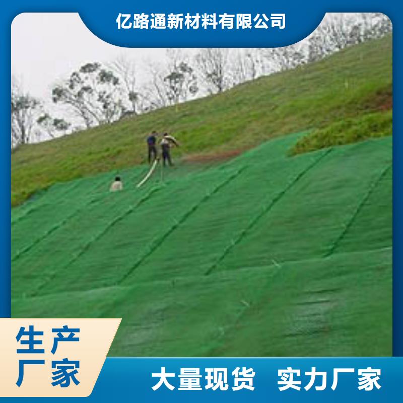 三维植被网双向塑料土工格栅可定制有保障