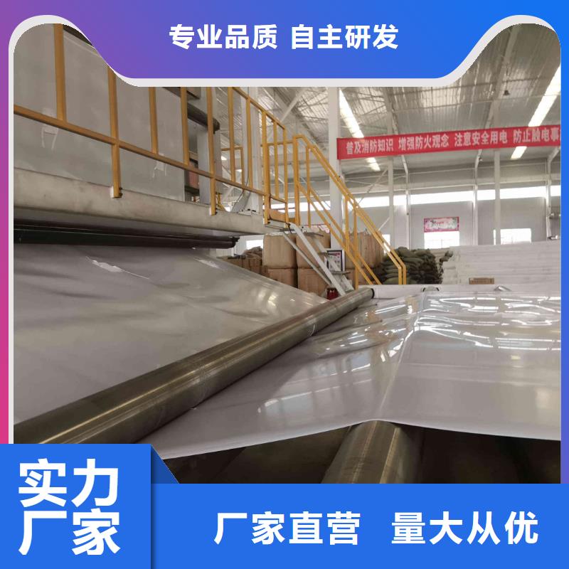 EVA防水板_膨潤土防水毯歡迎來電咨詢
