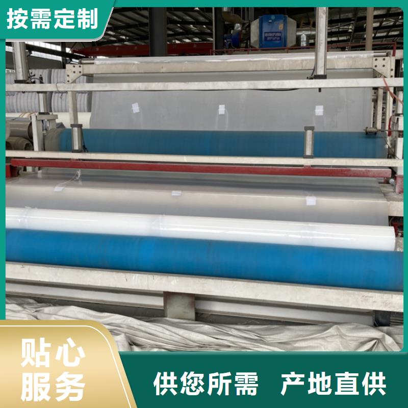 EVA防水板玻璃纖維土工格柵品種全