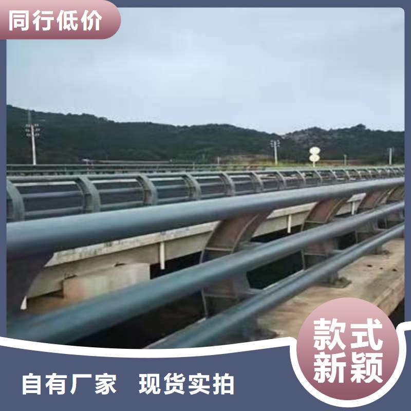 供应批发201道路隔离护栏-放心