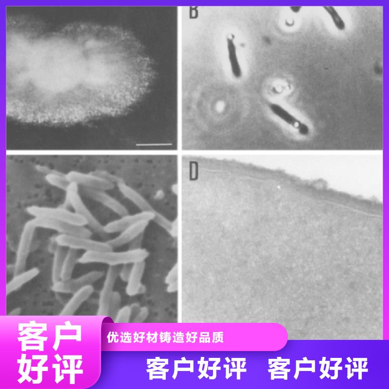 污水处理厂专用碳源全国配送