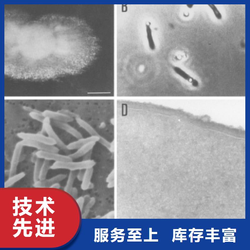 临高县醋酸钠(碳源)供应