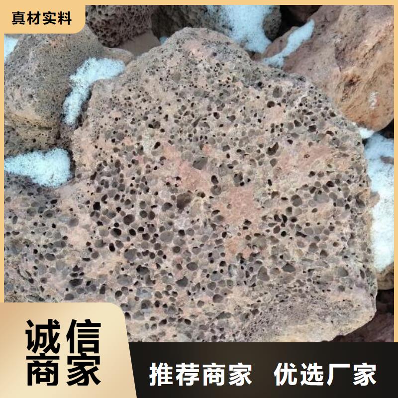 反硝化池用火山岩滤料厂家