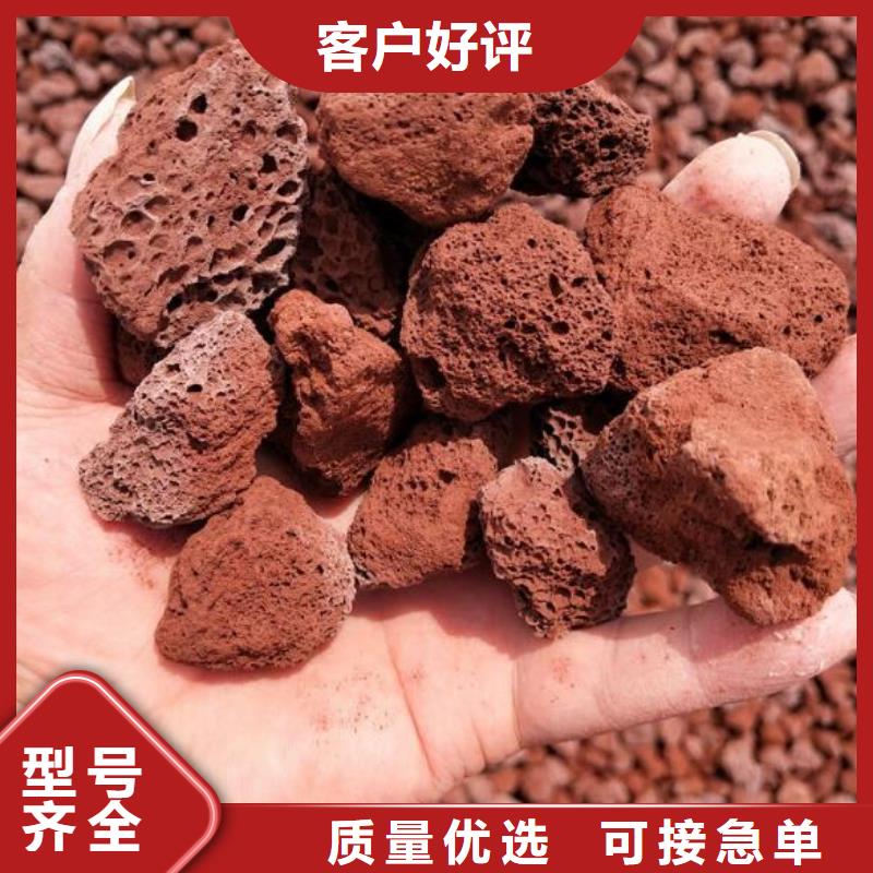 反硝化池用火山岩陶粒价格