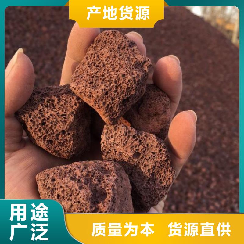 反硝化池用活山岩经销商