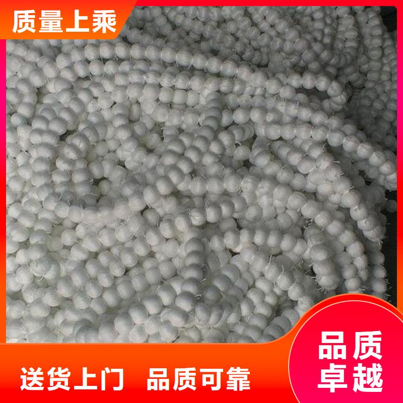 纤维球-鲍尔环今年新款