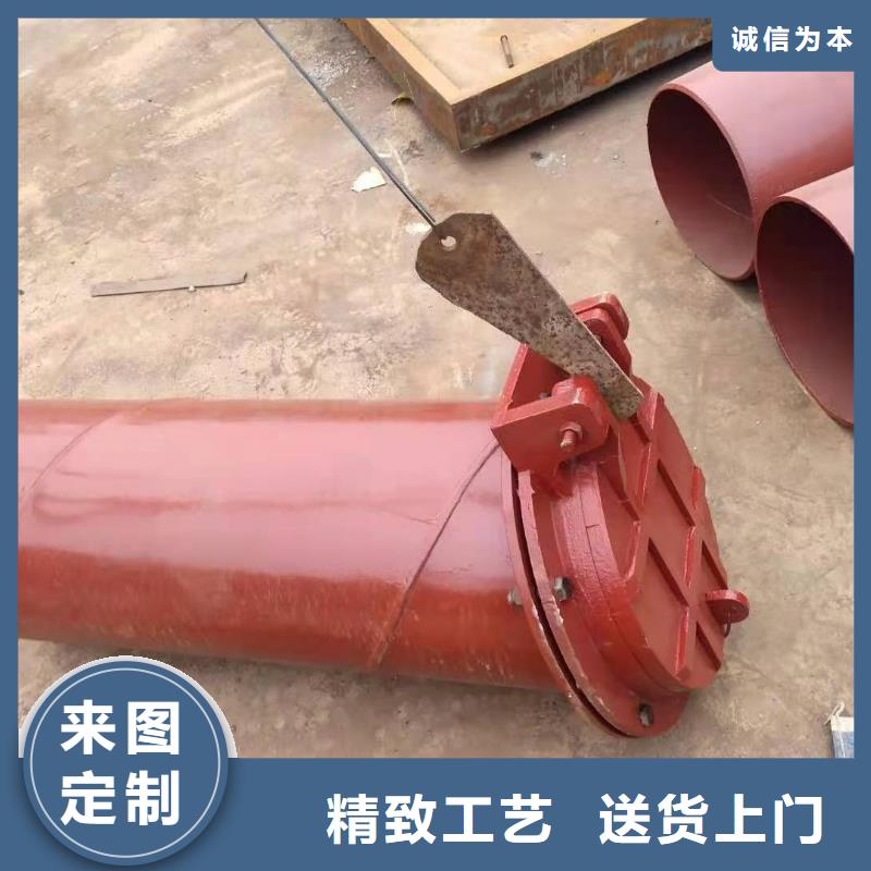 铸铁闸门_启闭机闸门厂家专业设计