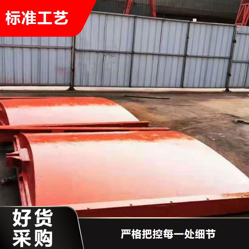 機(jī)閘一體式鑄鐵閘門可定制