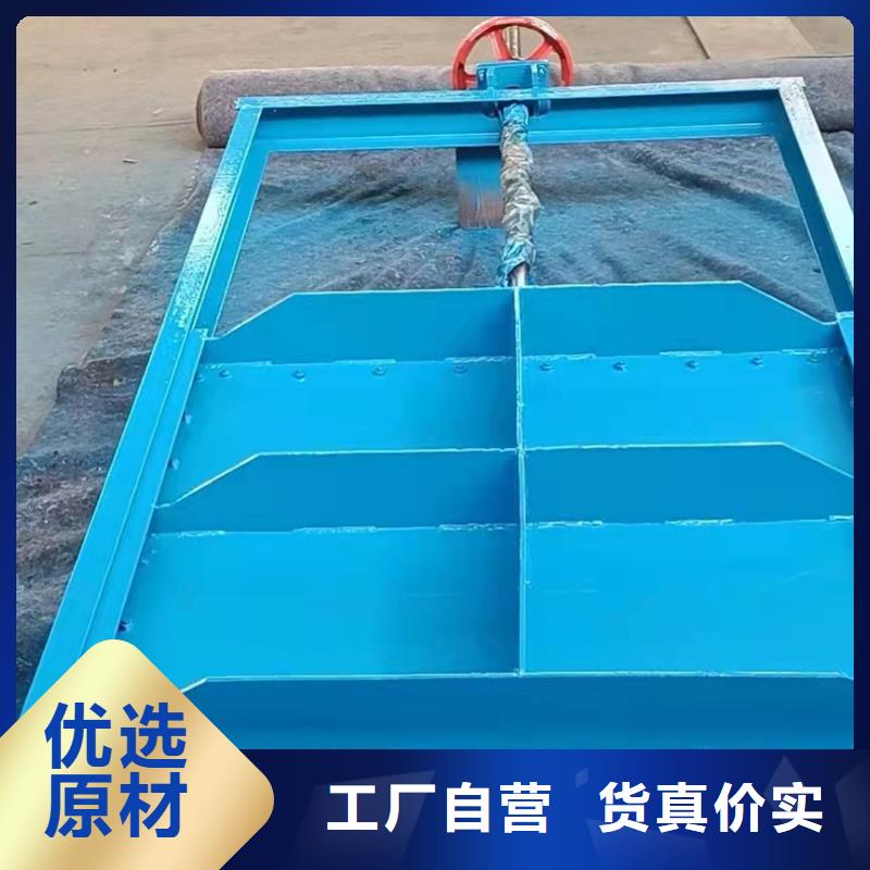 合頁鋼壩工廠直銷