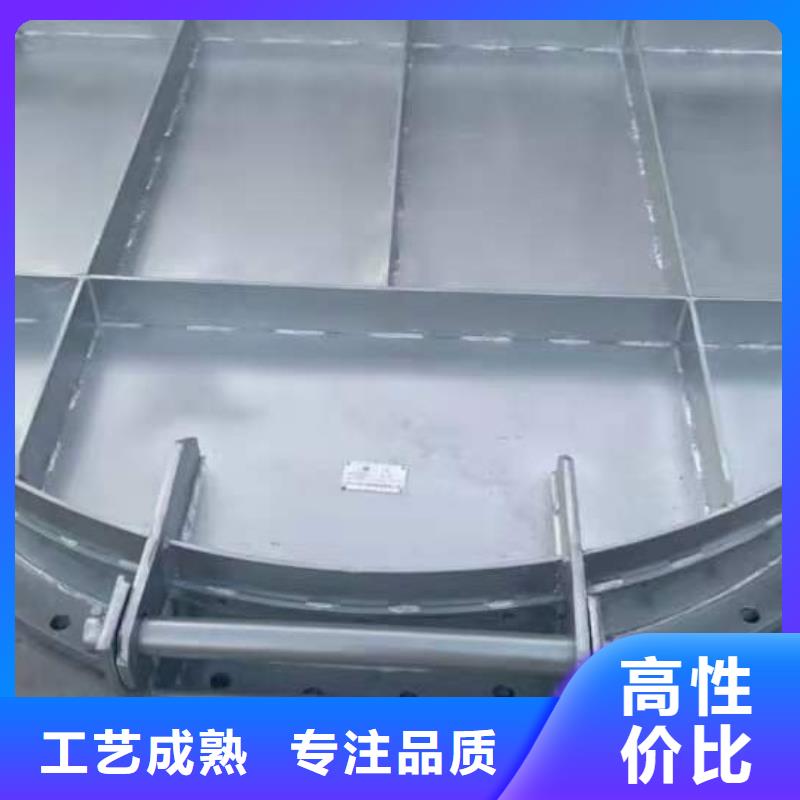 钢闸门清污机多种优势放心选择