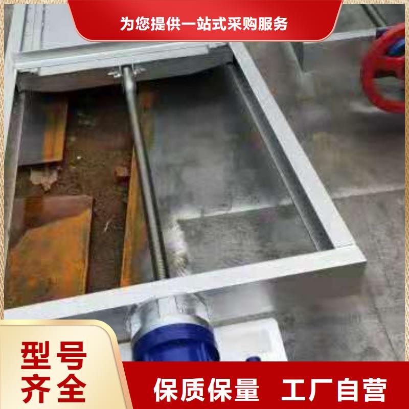 鋼閘門【液壓鋼壩】豐富的行業(yè)經(jīng)驗