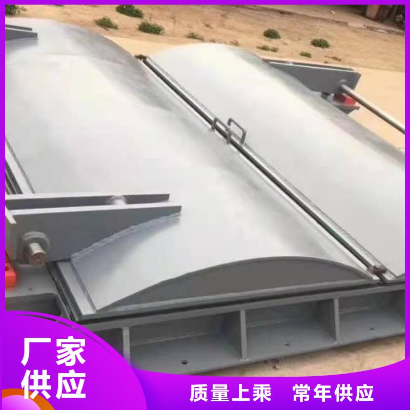 钢闸门-翻板闸门设计制造销售服务一体