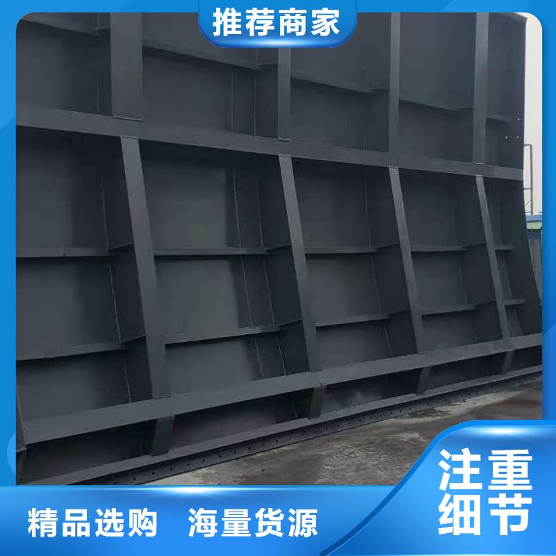 鋼閘門卷?yè)P(yáng)啟閉機(jī)專注質(zhì)量