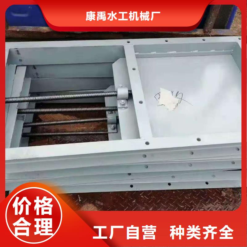 鋼閘門種類齊全