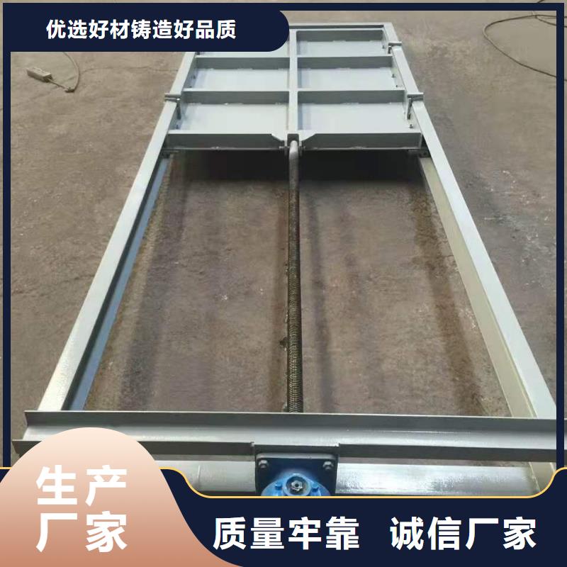 鋼閘門卷?yè)P(yáng)啟閉機(jī)專注質(zhì)量