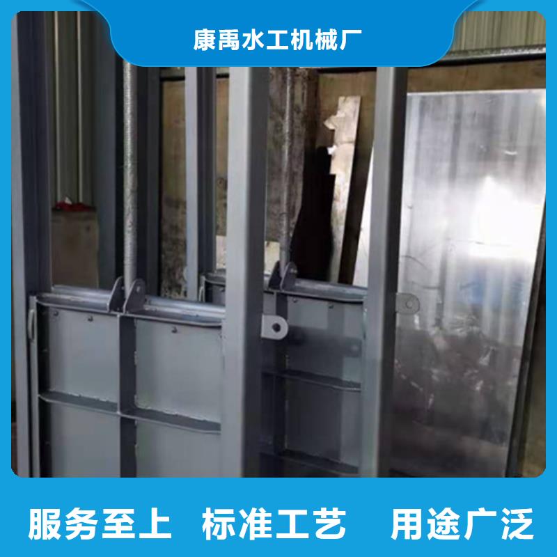 鋼閘門(mén)【拍門(mén)】源廠定制