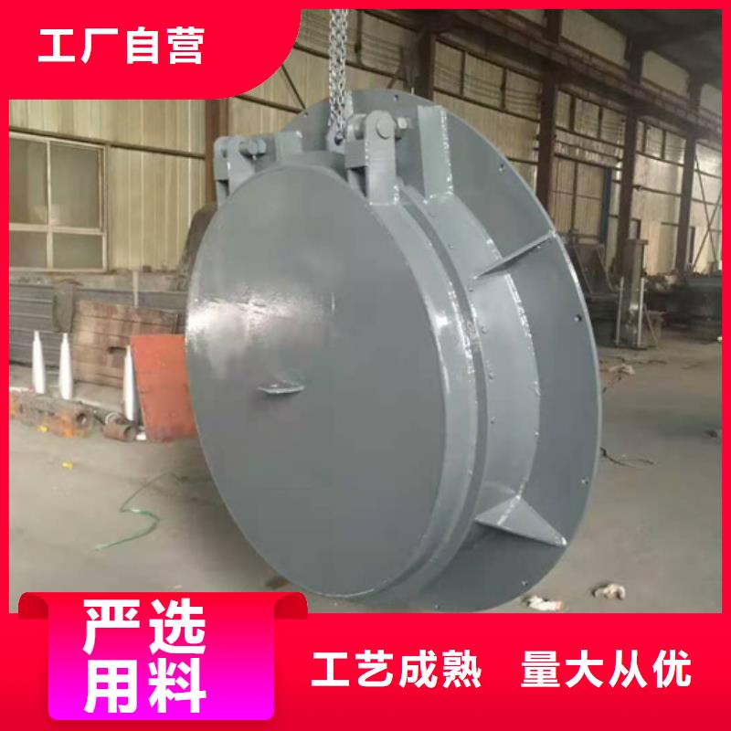 泵站上臥式閘門規格齊全