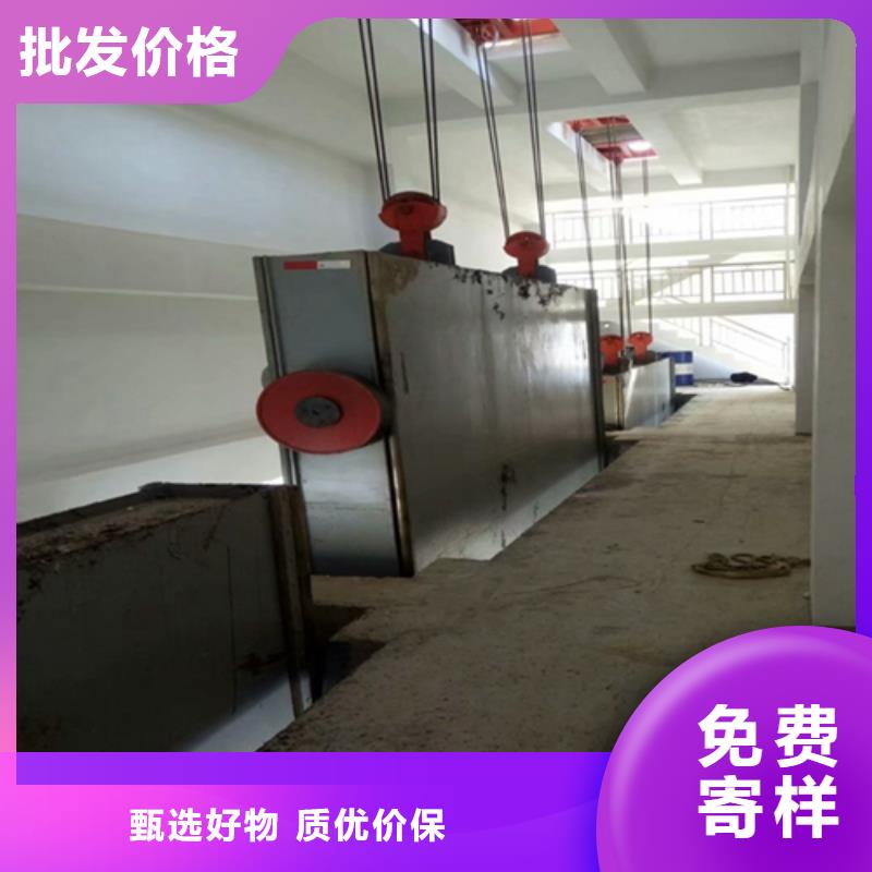  鋼閘門(mén)專(zhuān)注生產(chǎn)N年